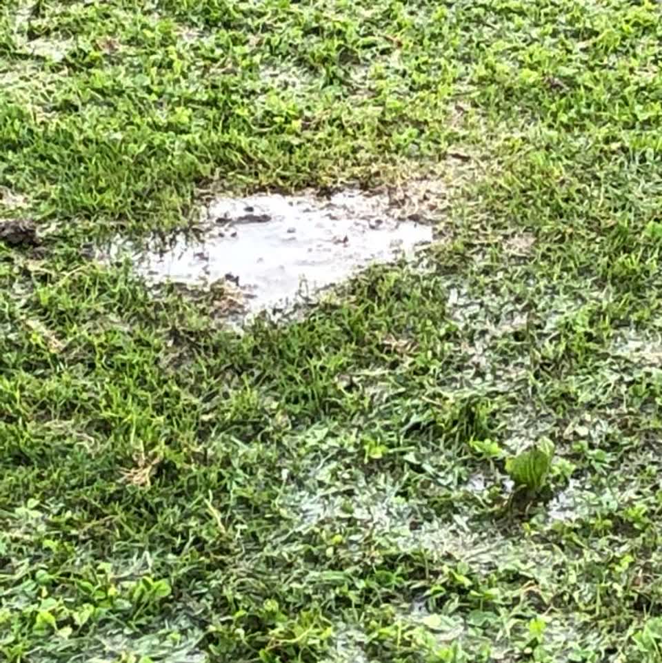 The photograph attached to this water supply report