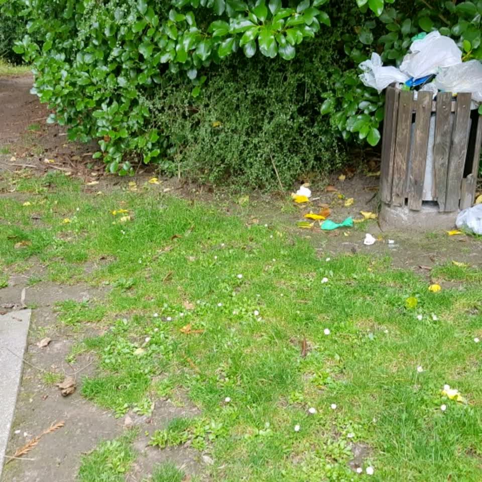 The photograph attached to this rubbish/recycling report