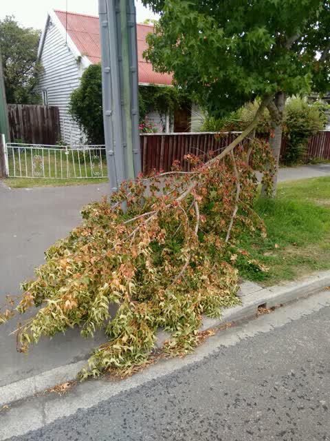 Roading/Streets, a report photo