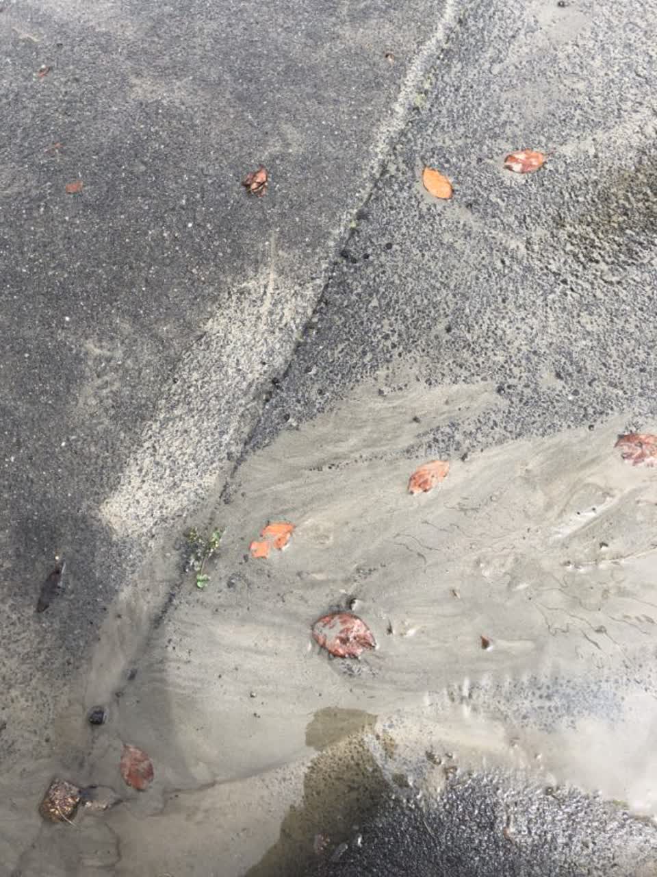 The photograph attached to this water supply report