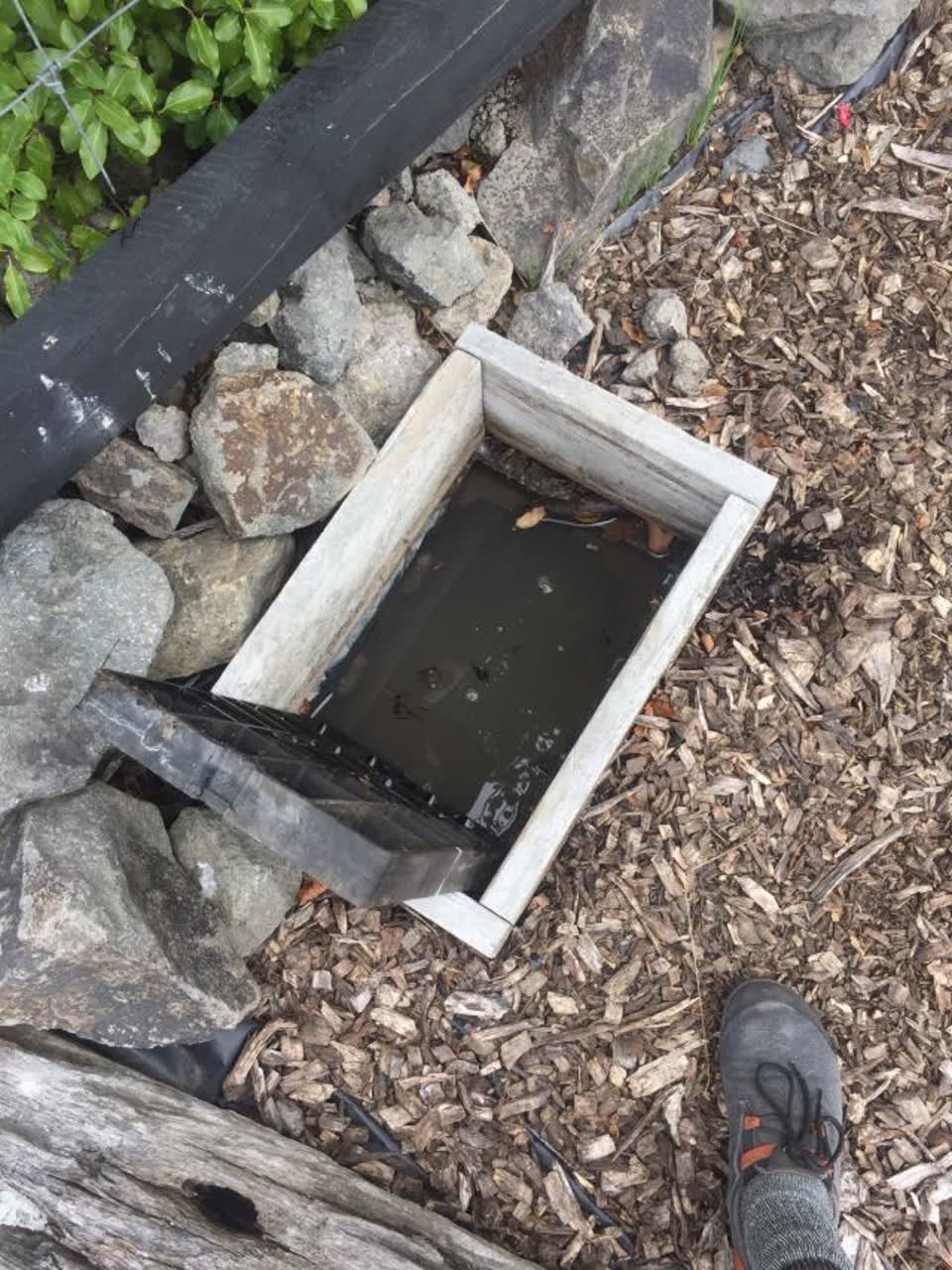 The photograph attached to this water supply report