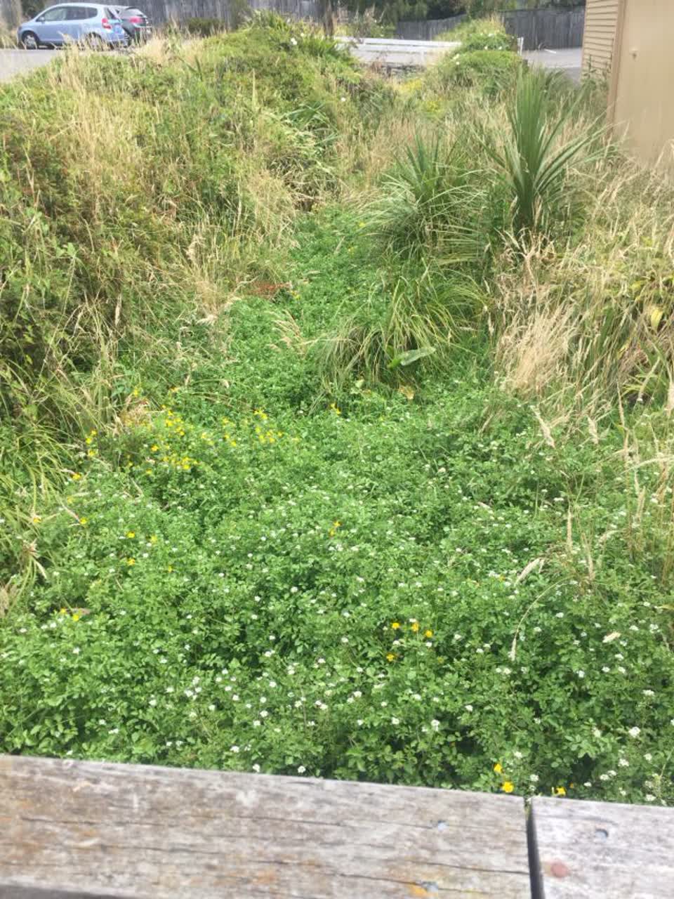 The photograph attached to this parks report
