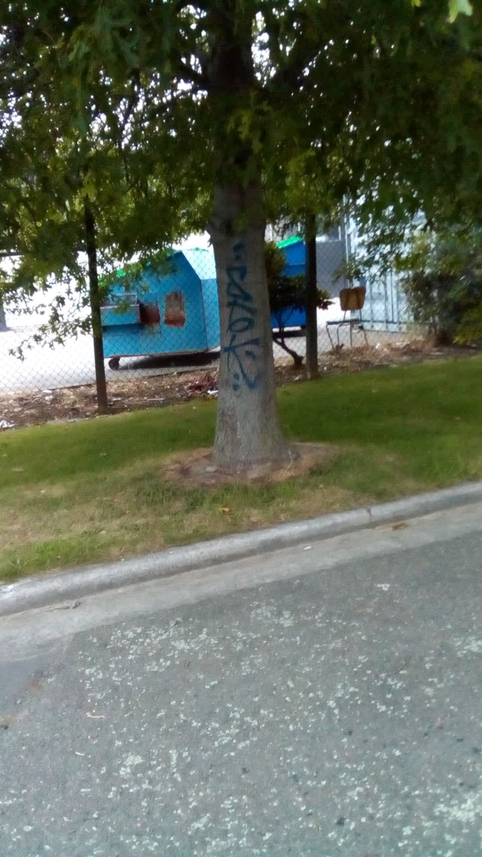 The photograph attached to this graffiti report