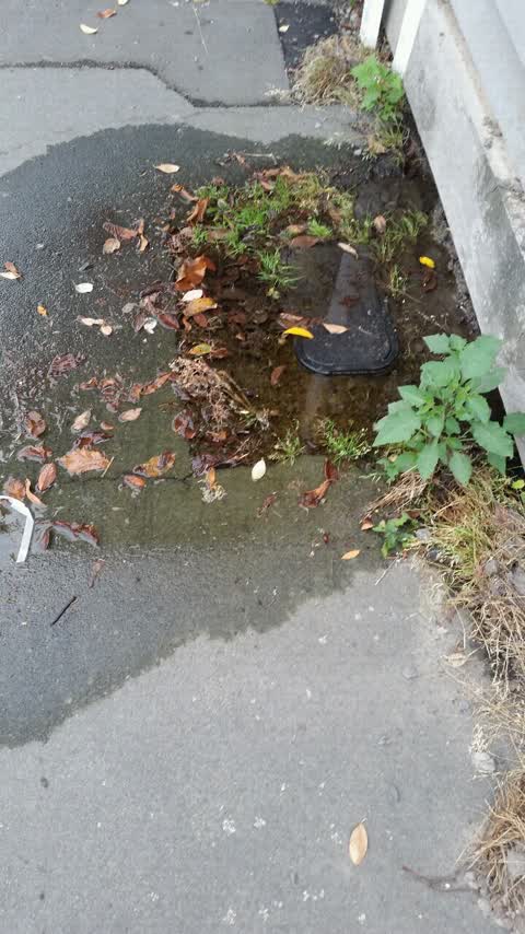 Water Supply, a report photo