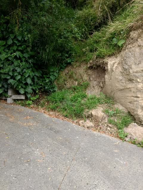 Wastewater/Stormwater, a report photo