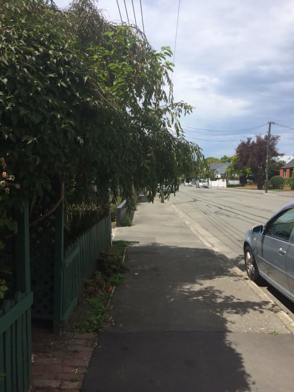 The photograph attached to this roading/streets report