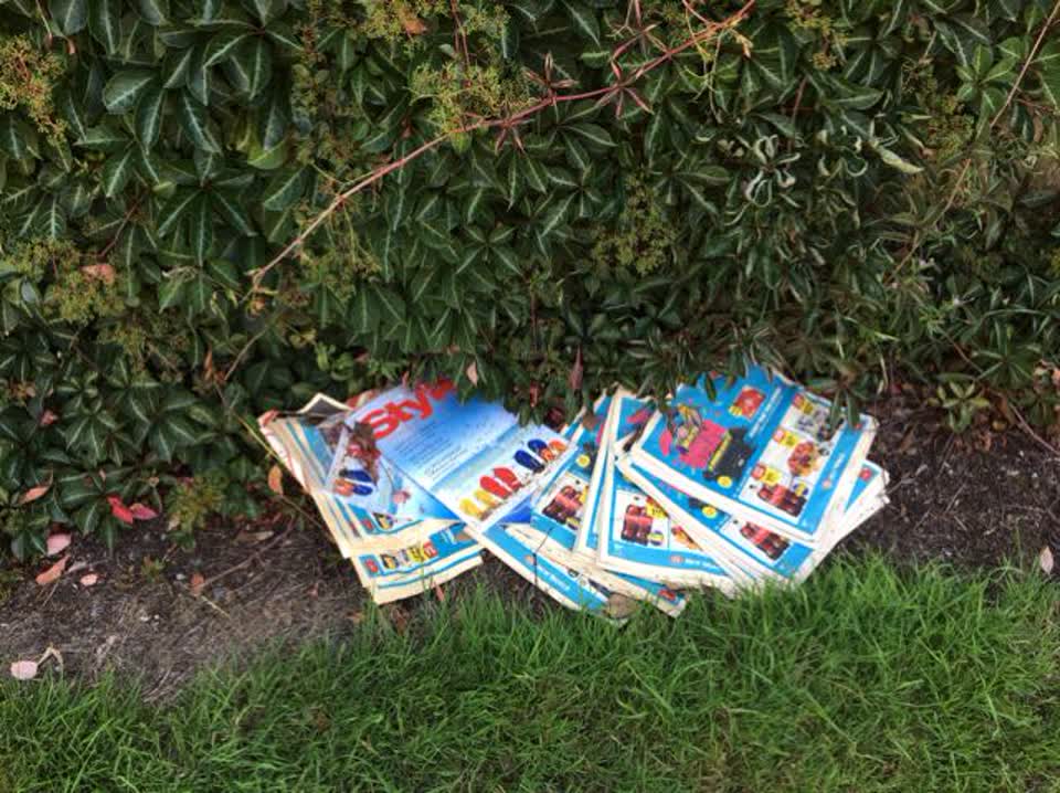 The photograph attached to this rubbish/recycling report