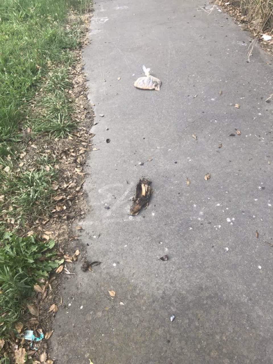 The photograph attached to this rubbish/recycling report