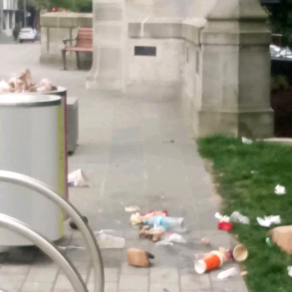The photograph attached to this rubbish/recycling report