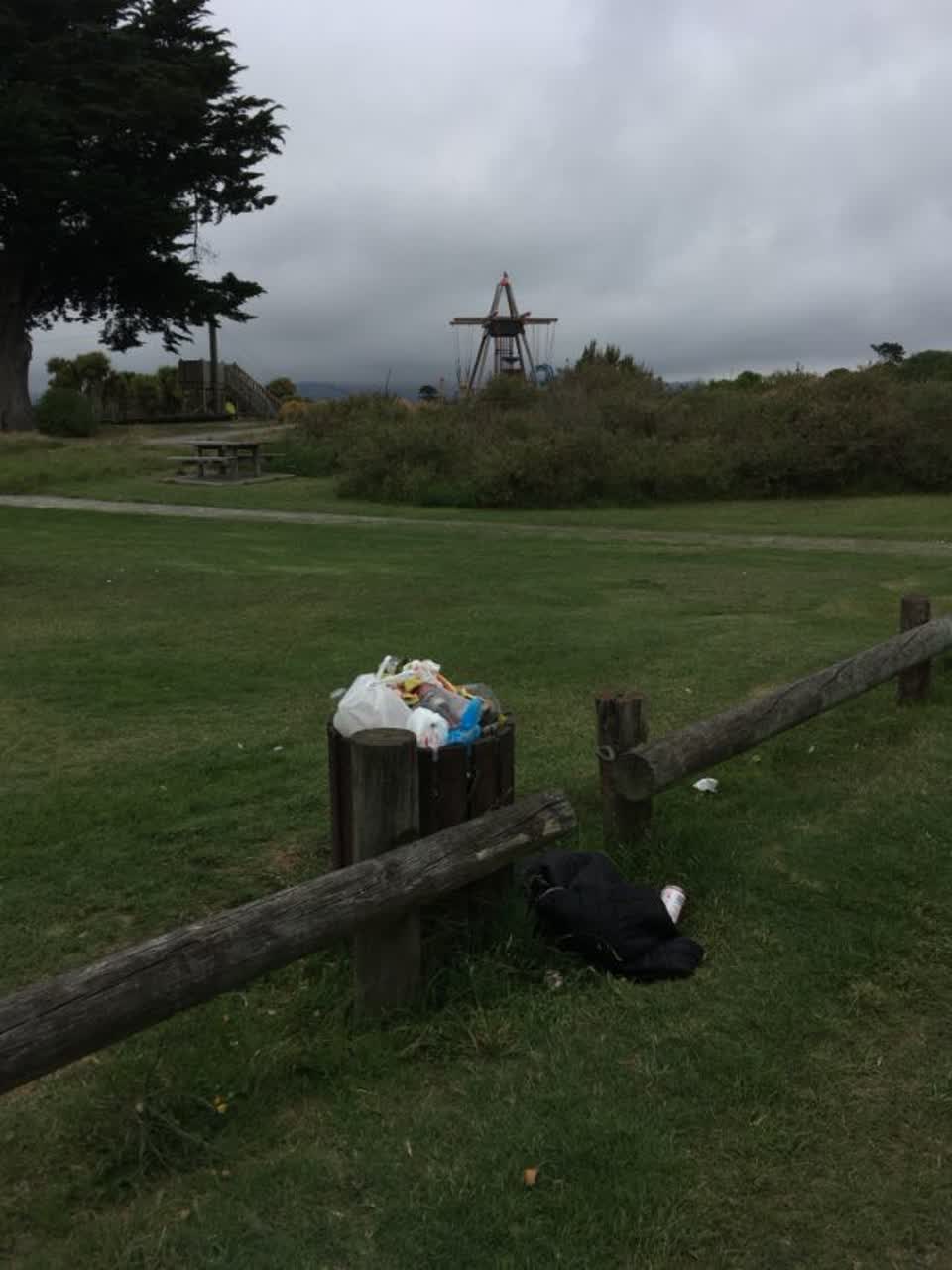 The photograph attached to this rubbish/recycling report