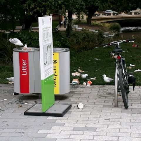 Rubbish/Recycling, a report photo
