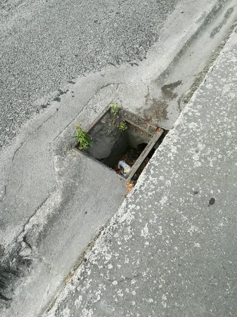 Wastewater/Stormwater, a report photo