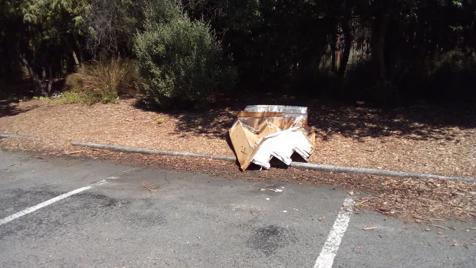 The photograph attached to this rubbish/recycling report