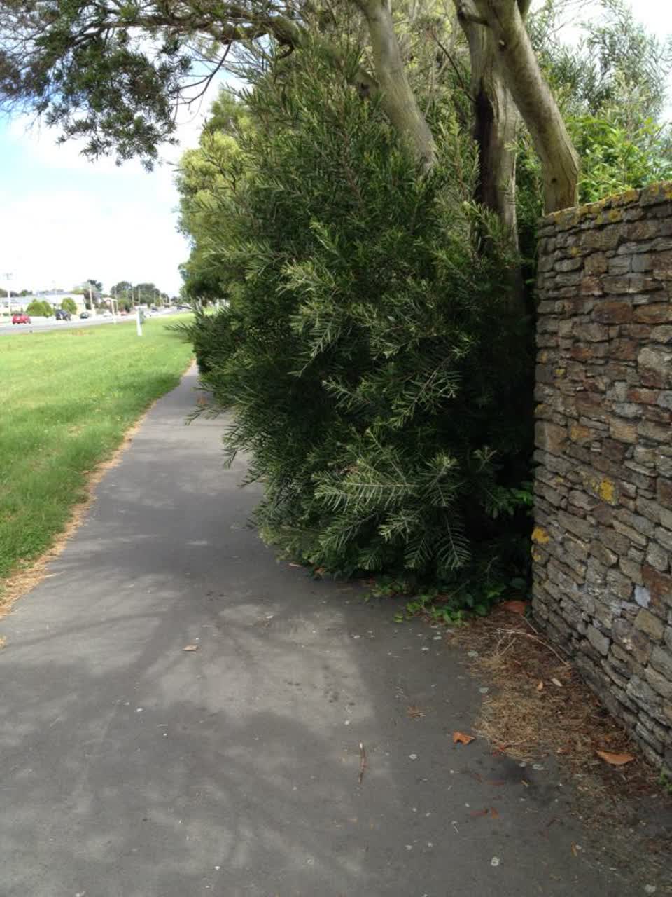 The photograph attached to this roading/streets report