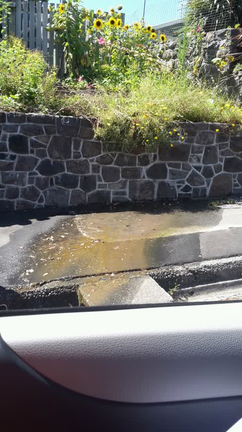 Water Supply, a report photo