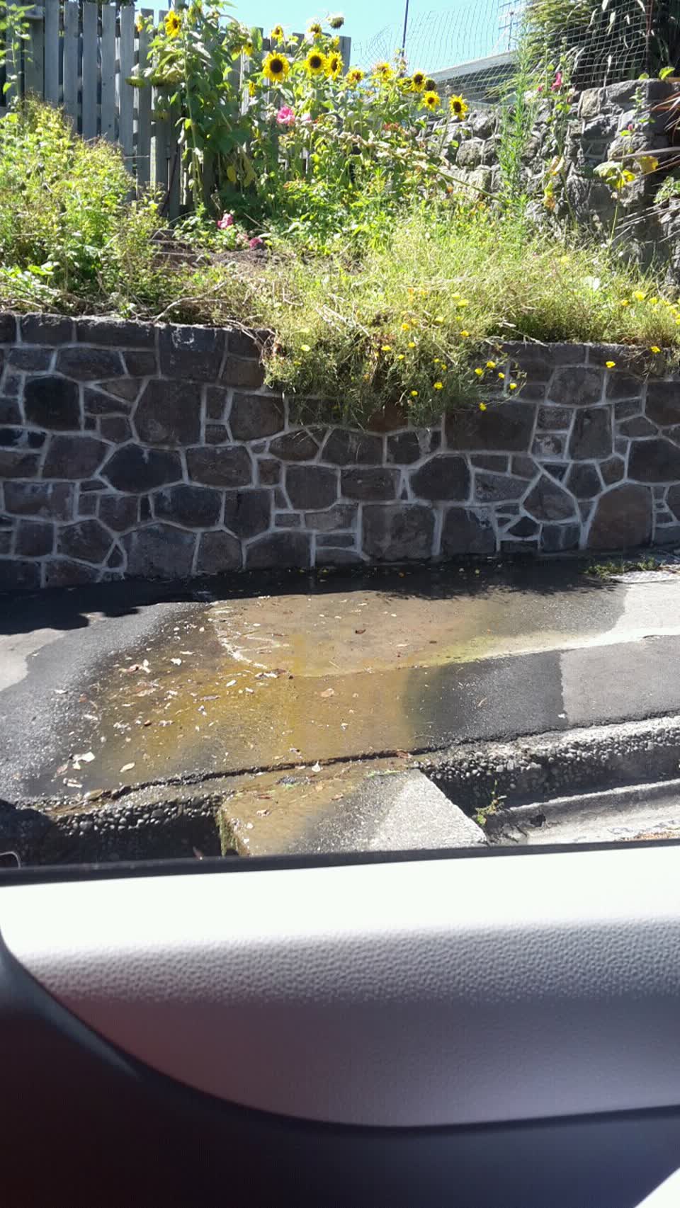 The photograph attached to this water supply report