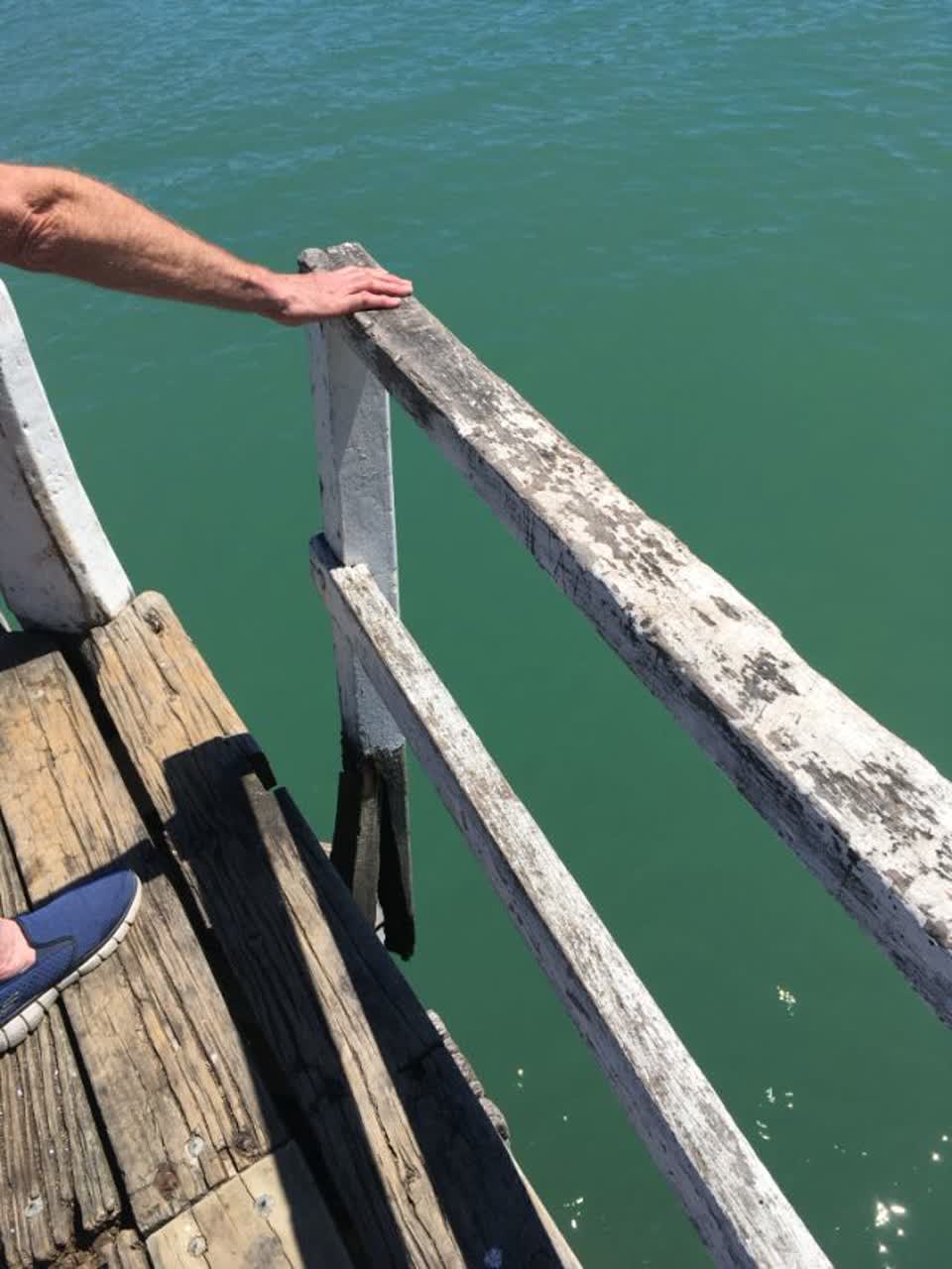The photograph attached to this parks report