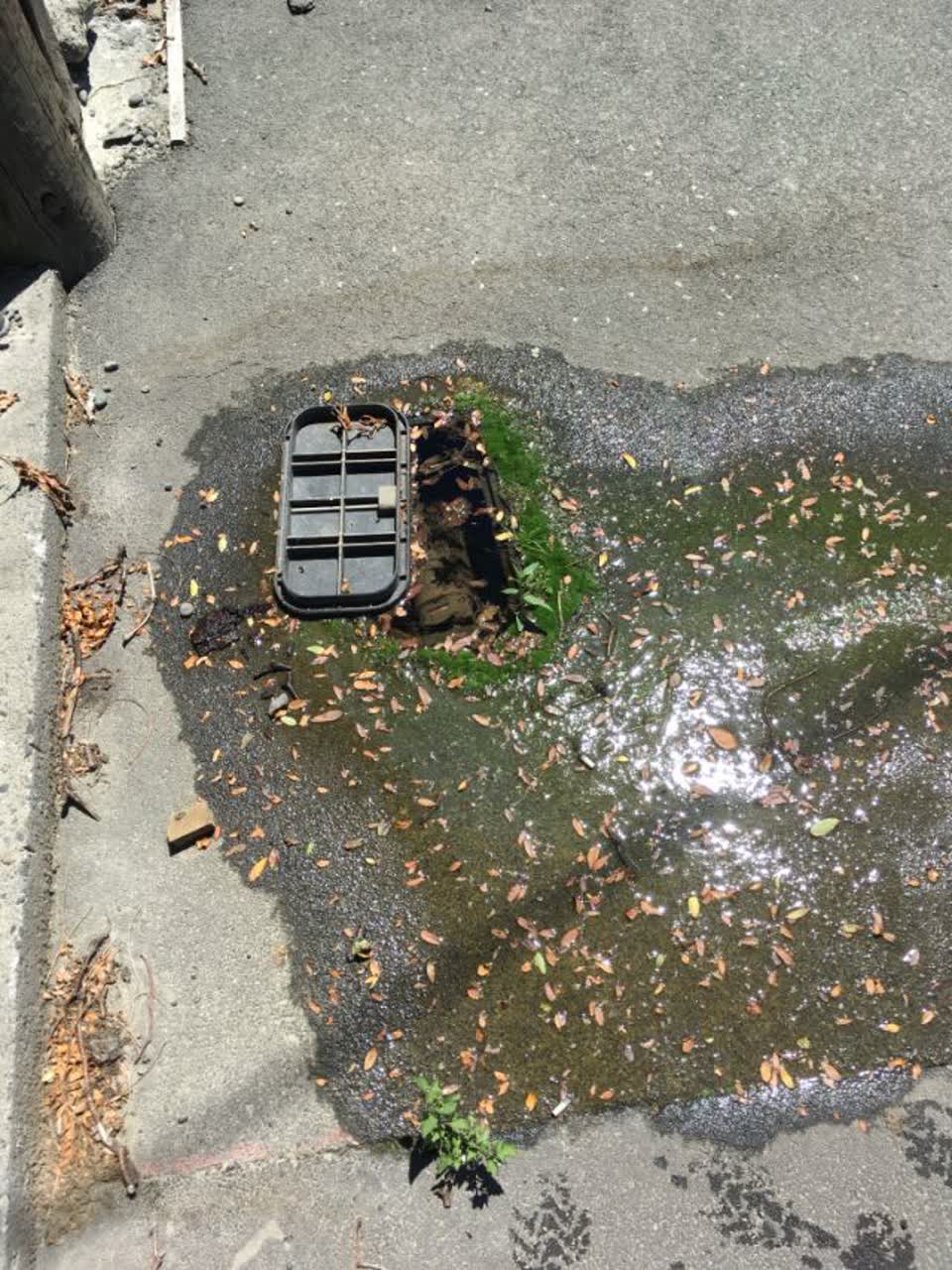 The photograph attached to this water supply report