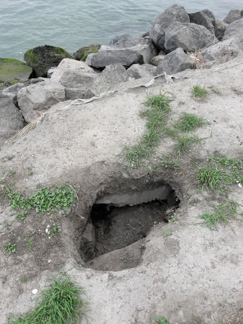 Parks, a report photo