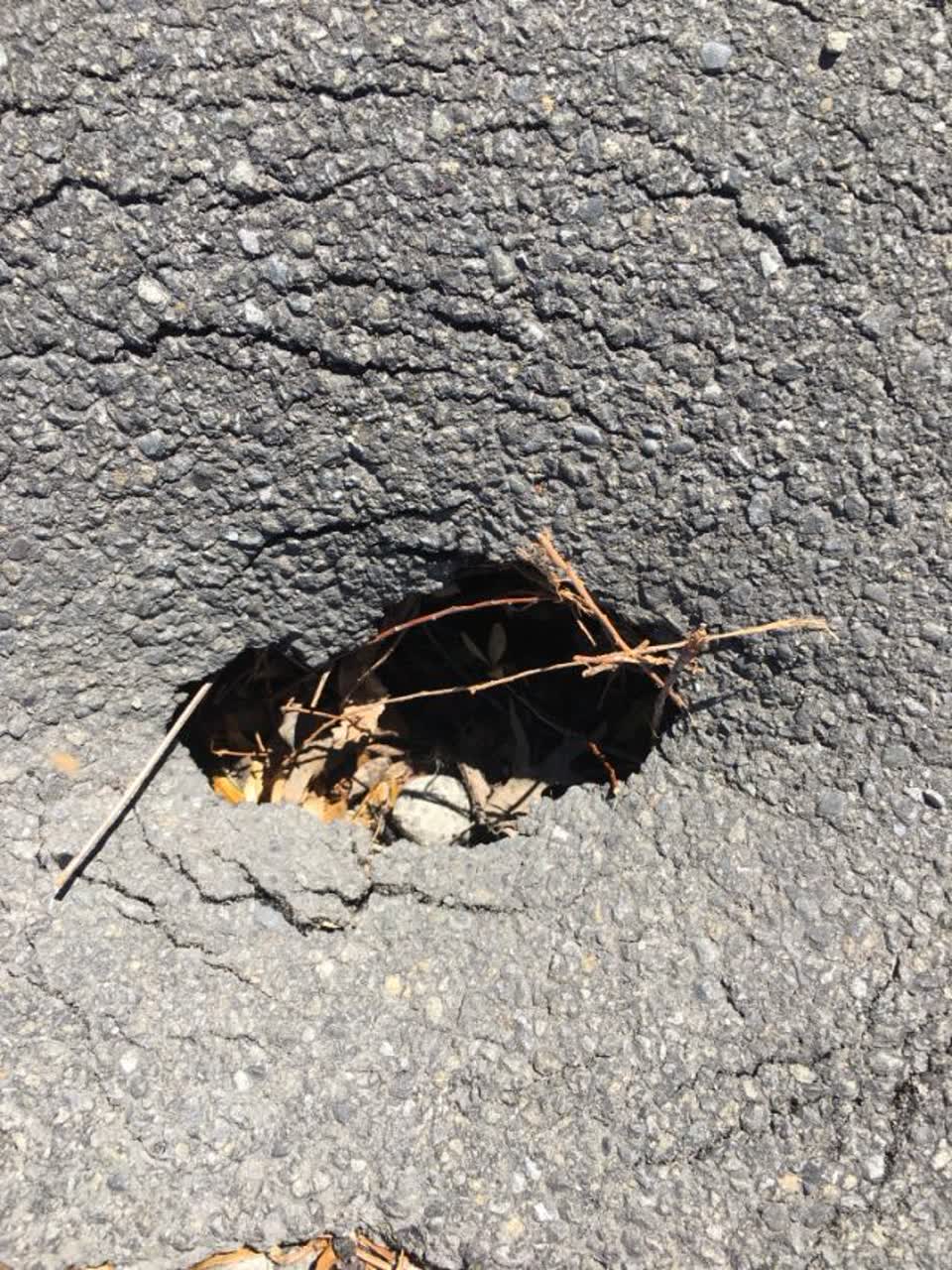 The photograph attached to this roading/streets report