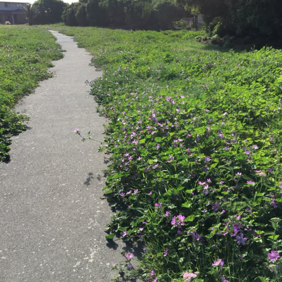 The photograph attached to this parks report