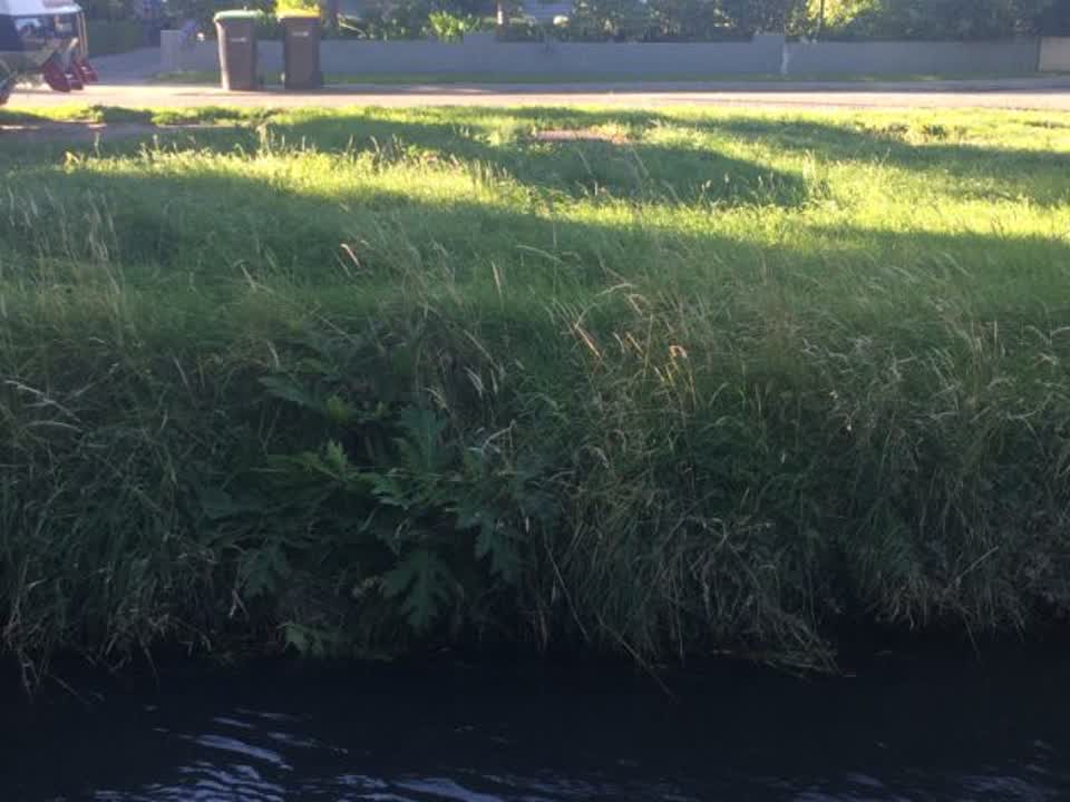 The photograph attached to this parks report