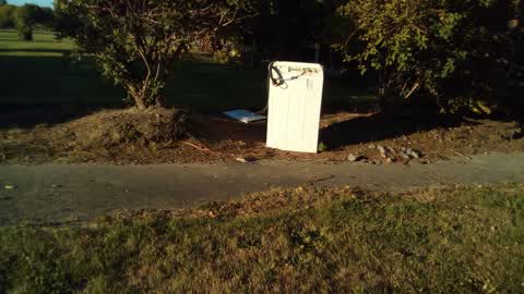 Rubbish/Recycling, a report photo