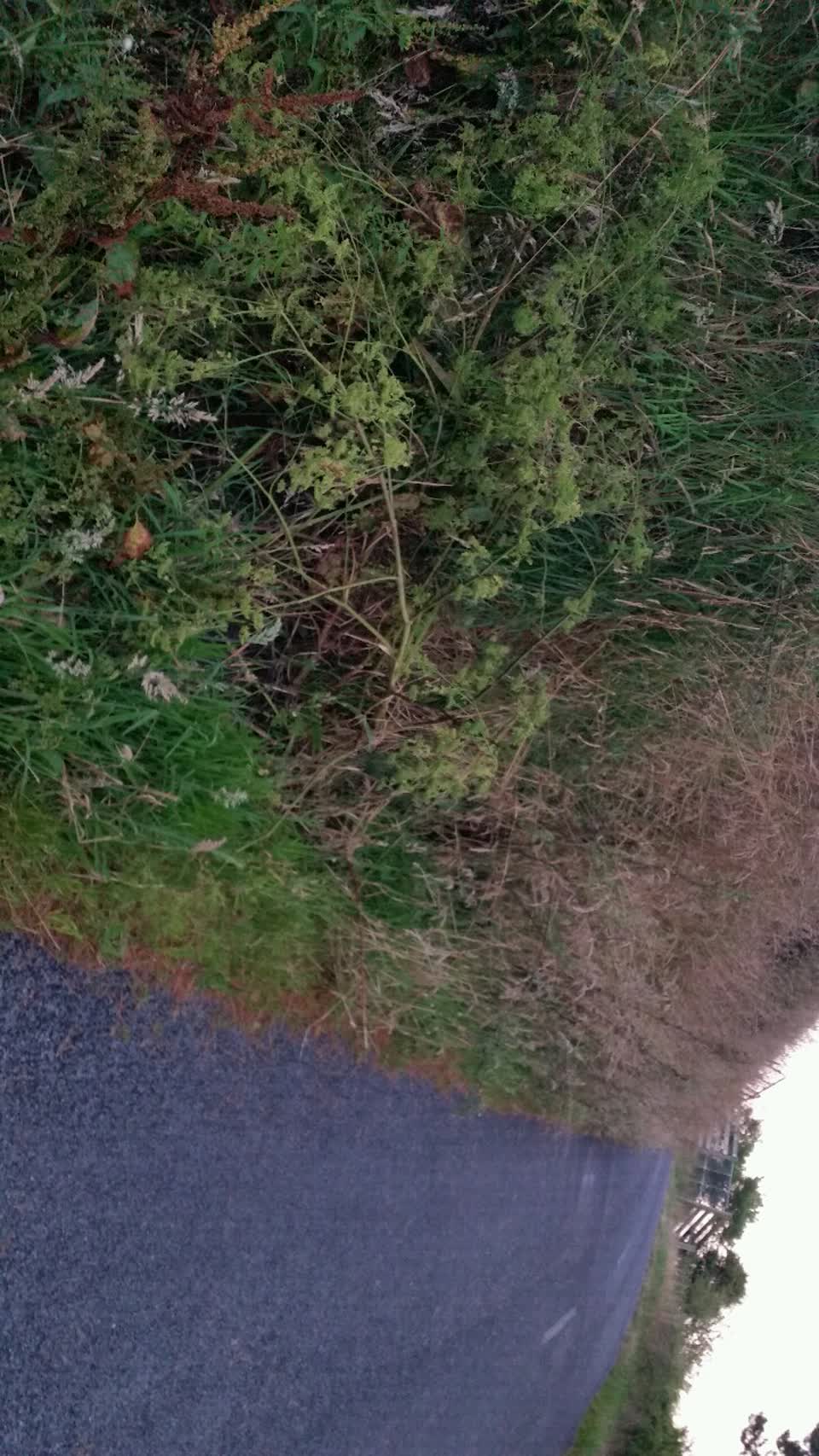 The photograph attached to this wastewater/stormwater report