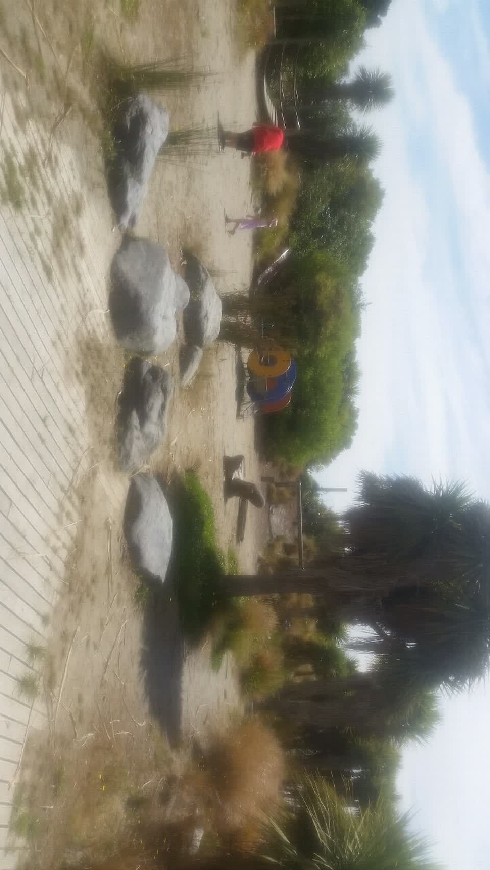 The photograph attached to this parks report