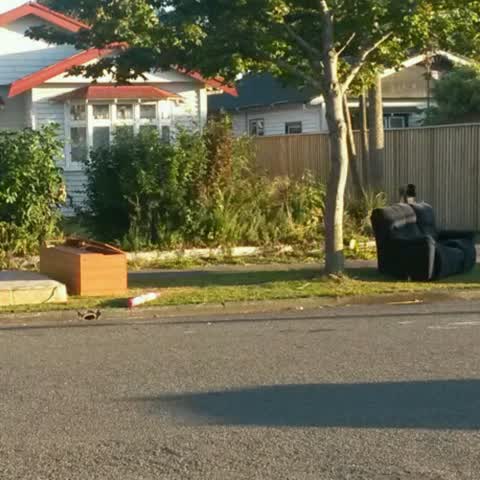 Rubbish/Recycling — a report photo