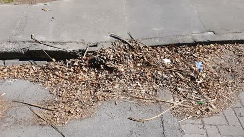 Roading/Streets, a report photo