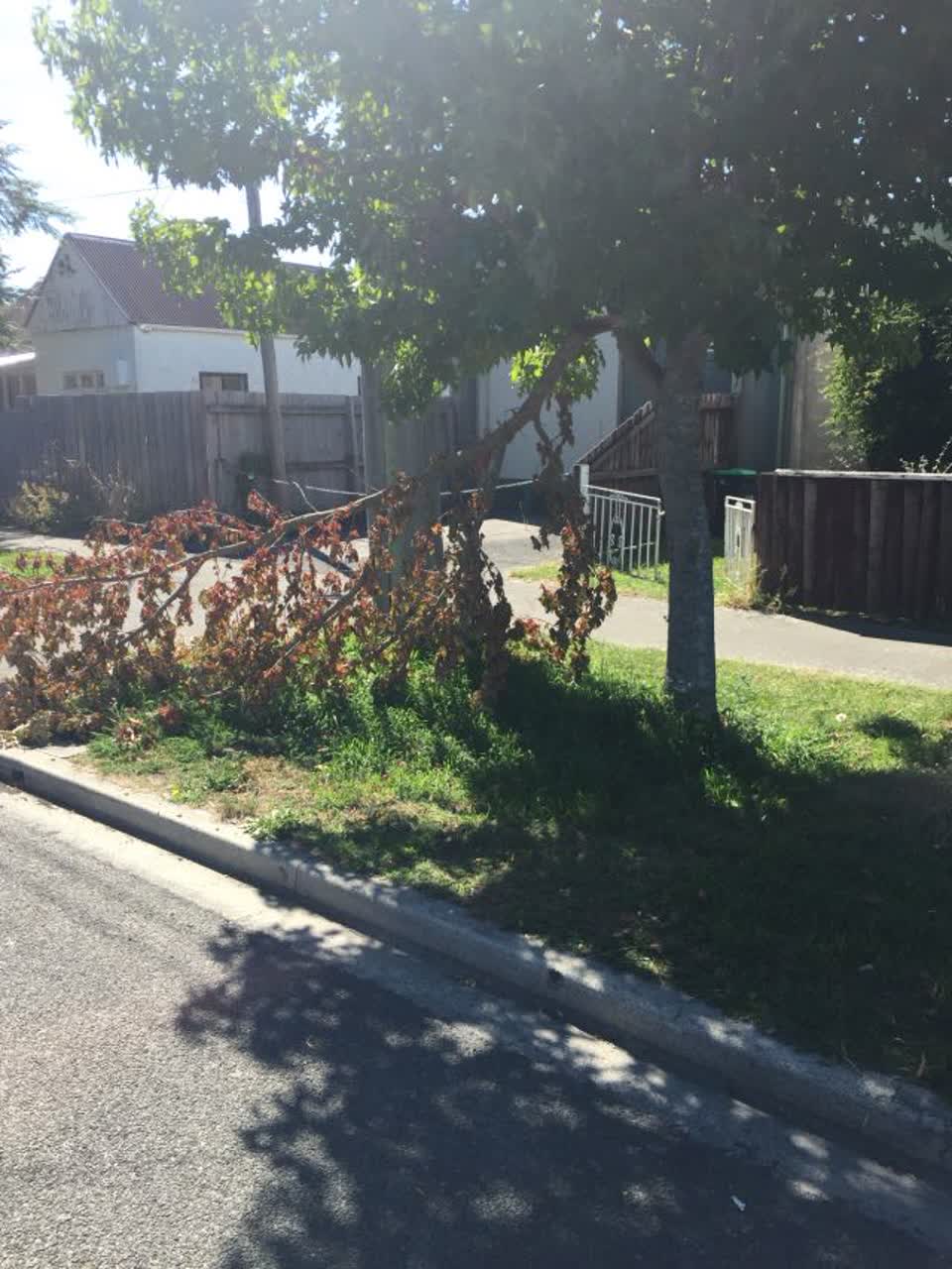 The photograph attached to this roading/streets report