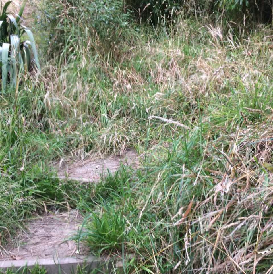 The photograph attached to this parks report