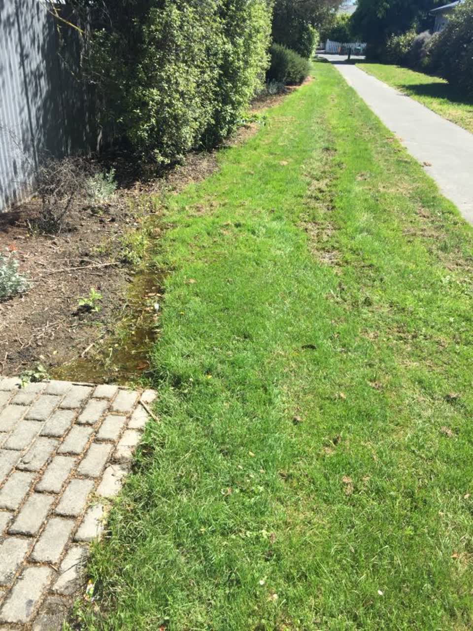 The photograph attached to this parks report