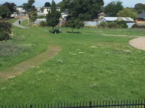 Parks, a report photo