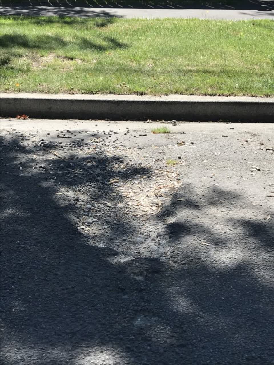 The photograph attached to this roading/streets report