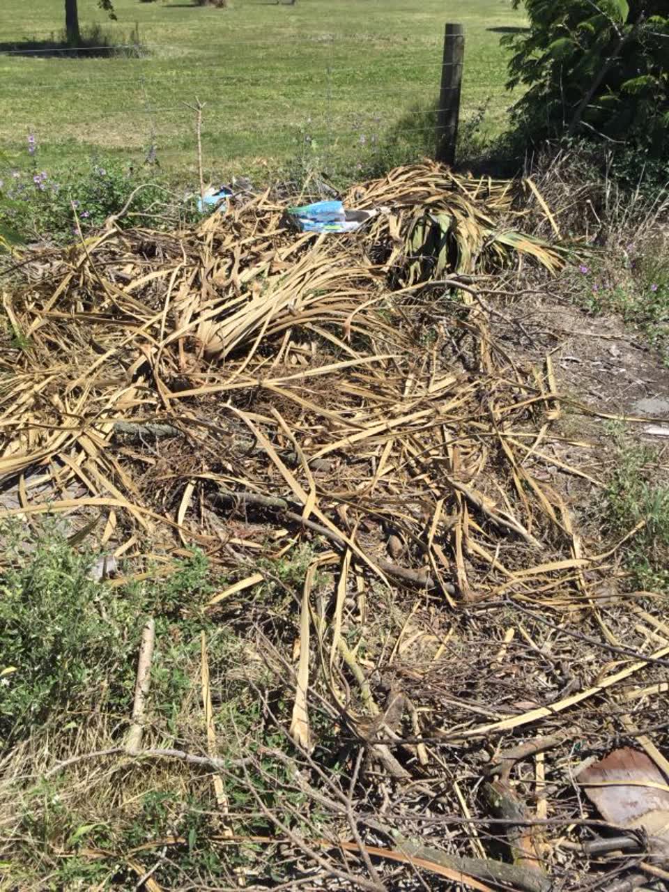 The photograph attached to this rubbish/recycling report