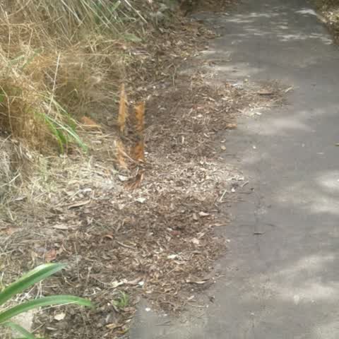 Wastewater/Stormwater, a report photo