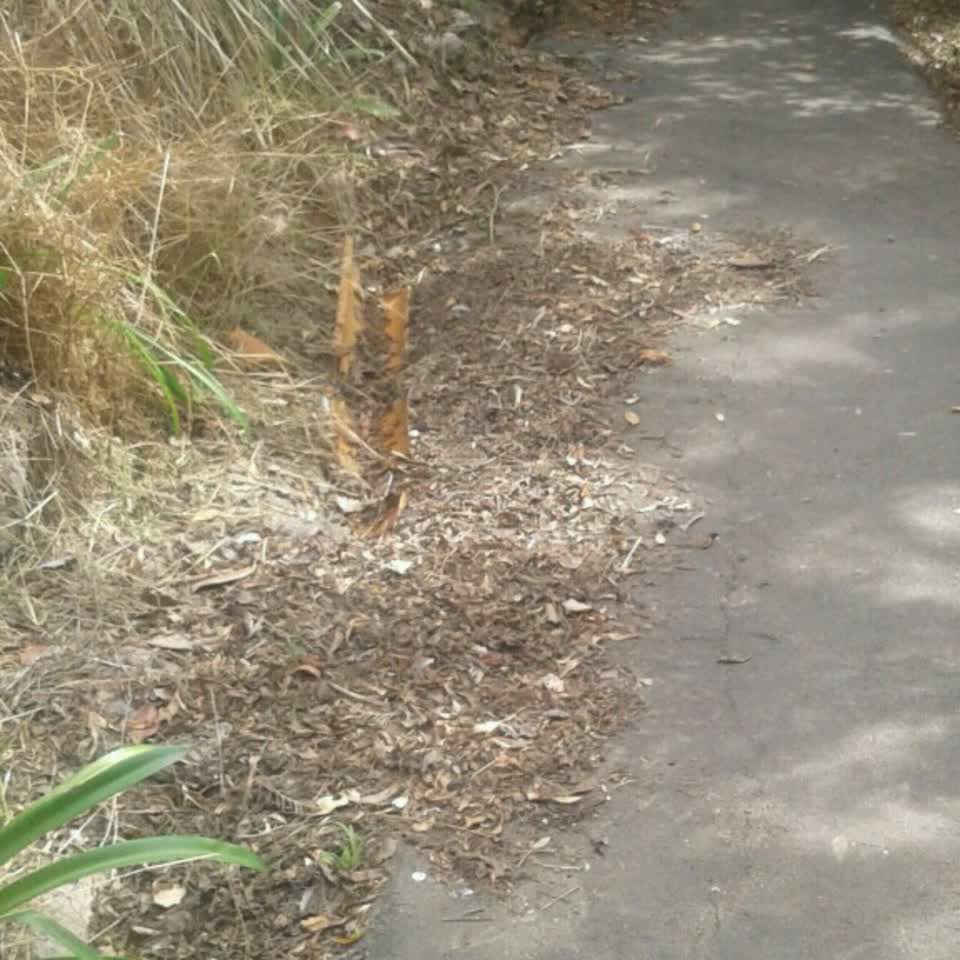 The photograph attached to this wastewater/stormwater report