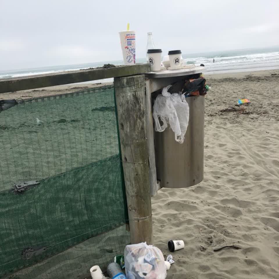 The photograph attached to this rubbish/recycling report