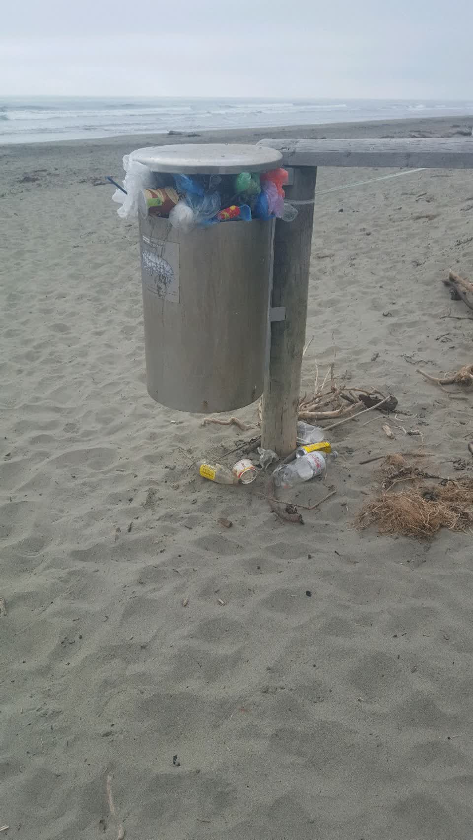The photograph attached to this rubbish/recycling report
