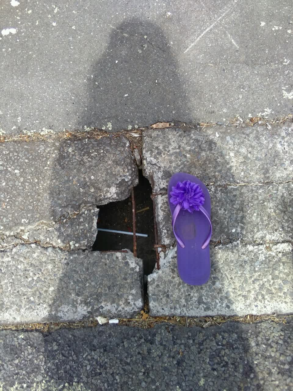 The photograph attached to this roading/streets report