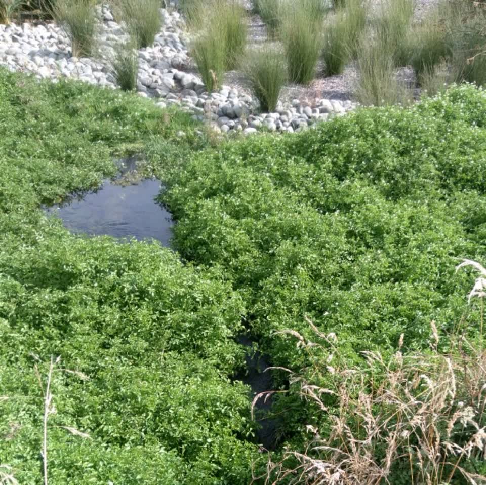The photograph attached to this wastewater/stormwater report