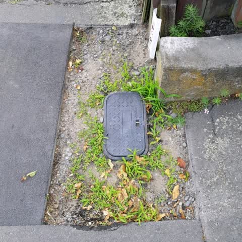 Roading/Streets, a report photo