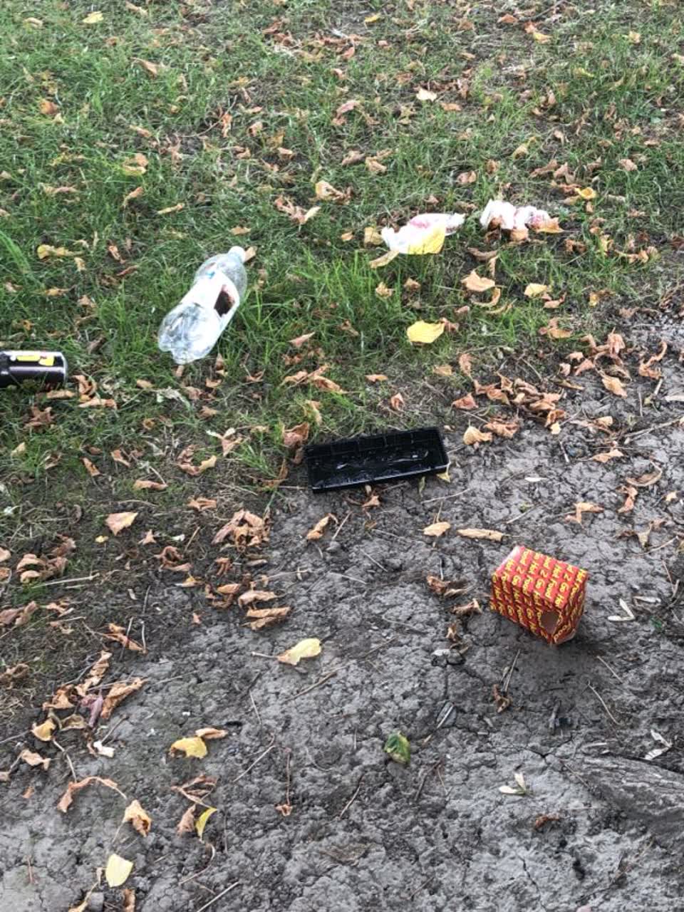 The photograph attached to this rubbish/recycling report