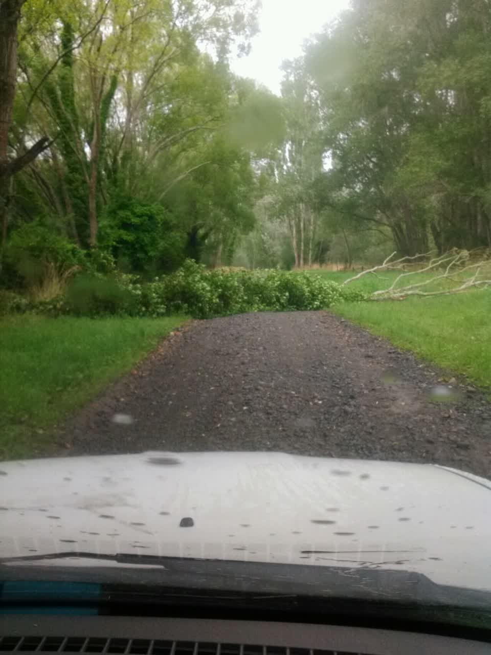 The photograph attached to this parks report
