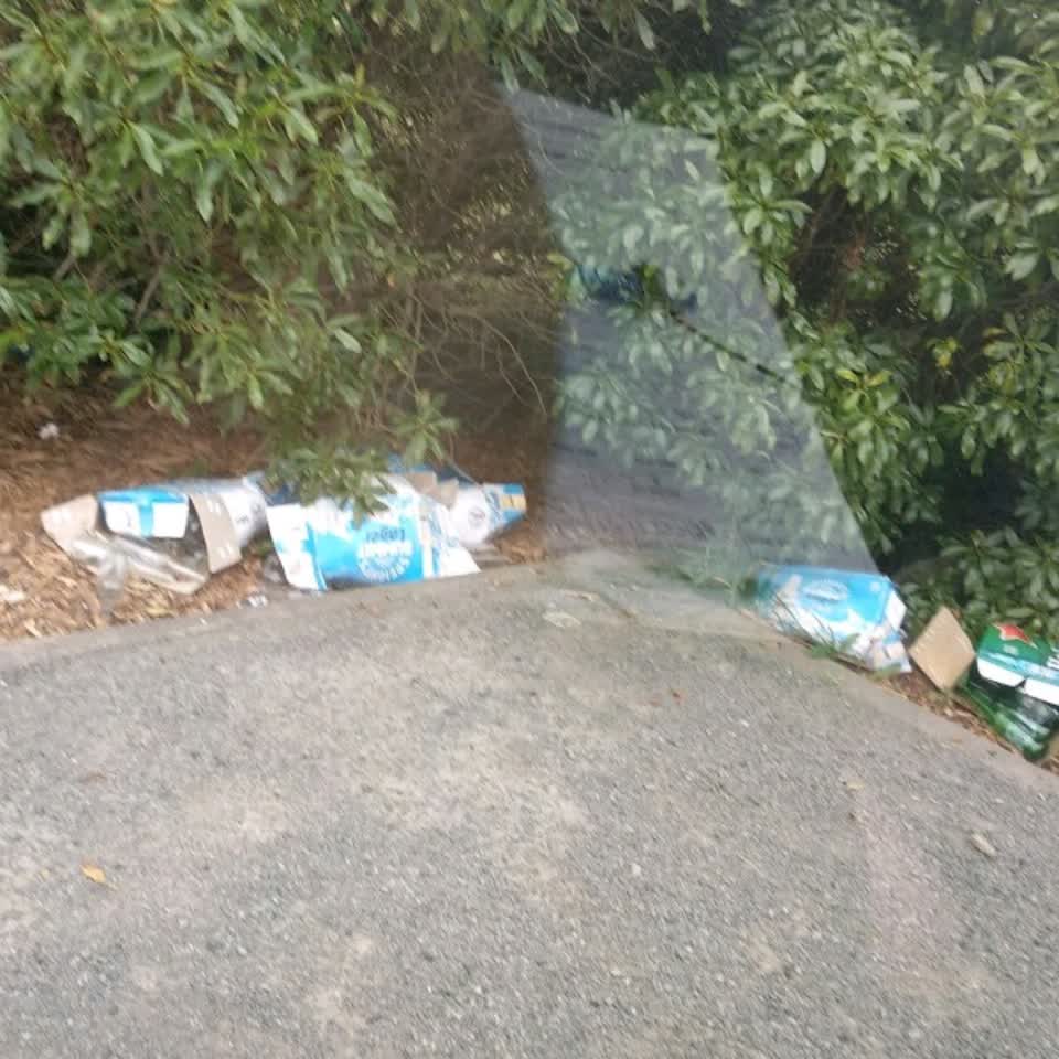 The photograph attached to this rubbish/recycling report