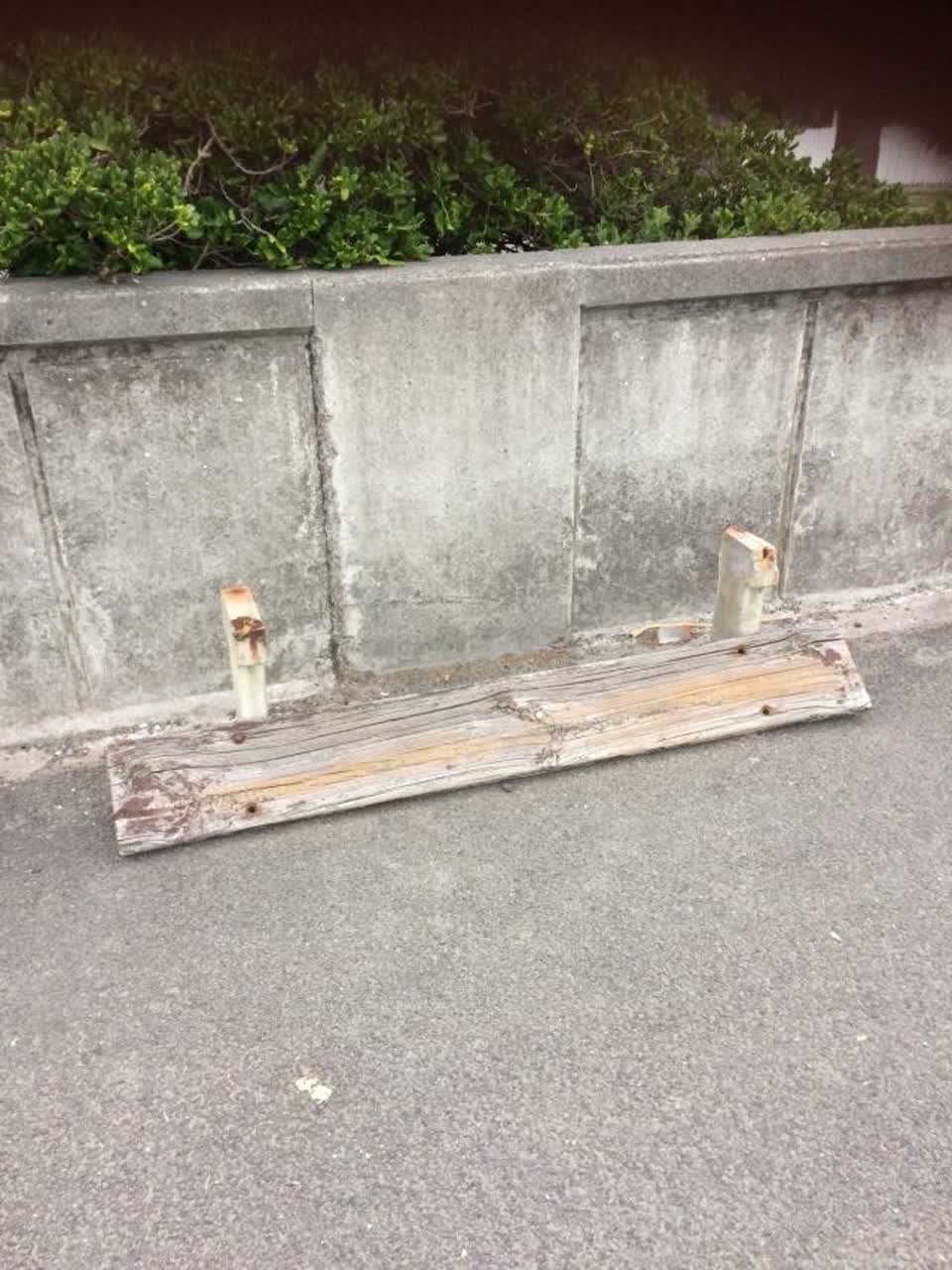 The photograph attached to this parks report