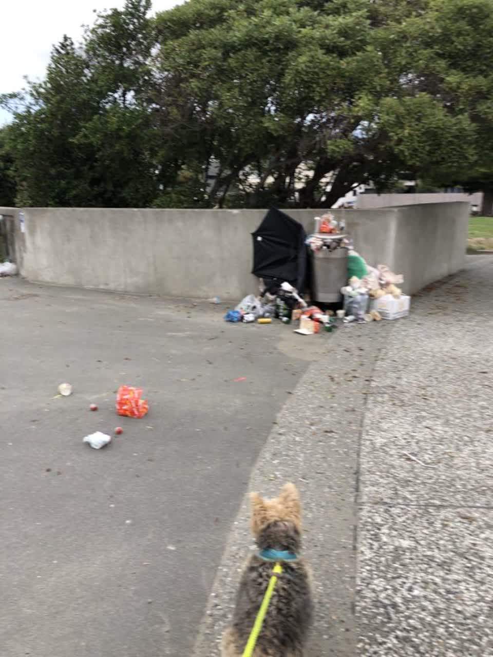 The photograph attached to this rubbish/recycling report