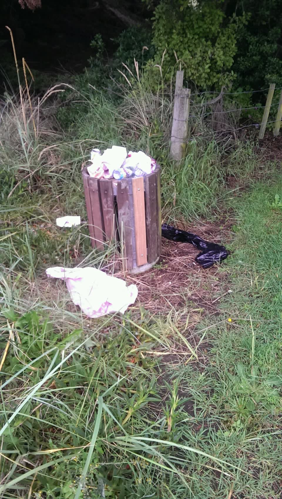 The photograph attached to this parks report